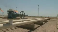 آمریکایی‌ها به دنبال منافع نفتی شمال سوریه از طریق کرد‌ها