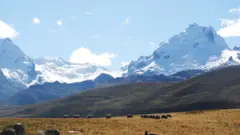 Andes peruanos