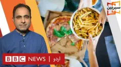سیربین