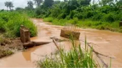 Agbara ojo