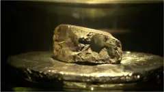 Winchcombe meteorite