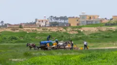 ደቂ ተባዕትዮ ኣብ ከባቢ ኣስመራ ከተማ ሕጽረት ማይ ኣጋጢሙ ካብ ዒላ ማይ ክእክቡ ከለዉ