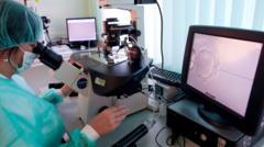 Imagem mostra momentotimes classificados para copa do mundo 2024que é feita fertilizaçãoação in vitro