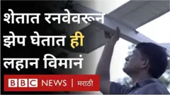 विमानं