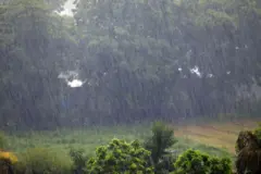 ચોમાસું 