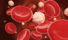 Illustrative representation of blood cells with insulin among them