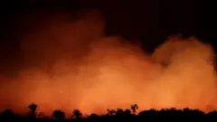 حرائق غابات الأمازون