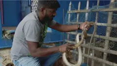 பாம்பு பாதுகாவலர்
