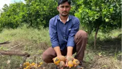 शेतकरी श्रीनिवास थेटे