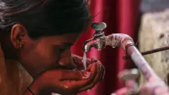 કૉલેરા શું છે? તે કેવી રીતે ફેલાય?