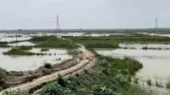 பிகார் எய்ம்ஸ்