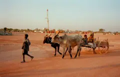 20 ans après le début de l'expoitation du pétrole tchadien, le taux de pauvreté reste préoccupant selon des organisations internationales