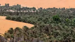 OOyiruu tamirii Dubaay, bakka Liwa jedhamu