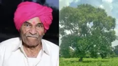 કેશવ શિંદે અને તેમના ખેતરમાં લાગેલું ઝાડ