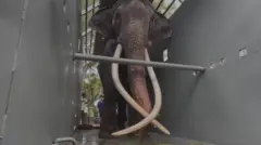 พลายศักดิ์สุรินทร์