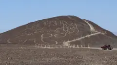 የድመት ቅርጽ