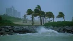 પ્રતીકાત્મક તસવીર