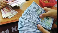 Money exchange counter