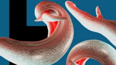 બીબીસી ગુજરાતી, ગુજરાત, બીબીસી, અમદાવાદ, 