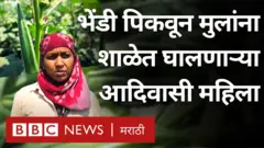 भेंडी पिकवणाऱ्या आदिवासी महिला 