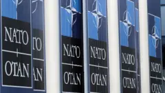 Логотипы НАТО на здании ее штаб-квартиры в Брюсселе