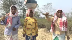 चाय बाग़ान के कामगार