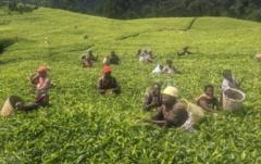 Imvo n'Imvano ku kibazo cy'abimukira b'imbere mu gihugu n'abanyamahanga baza mu Rwanda