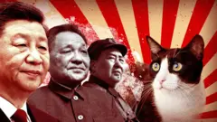 Китай капиталистический или коммунистический? И при чем тут котики?