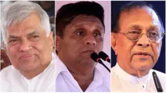 රනිල් ද? සජිත් ද? කරු ද?