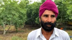 Gauva farmers