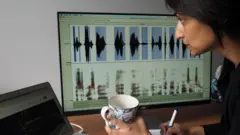 帕特爾教授是一名美國學者，是語音克隆應用方面的專家。