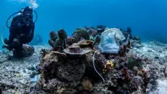 新冠疫情持續，大量使用過的醫用外科口罩沒有被回收及妥善處理，造成嚴重的環境污染。