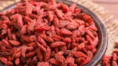 توت غوجي