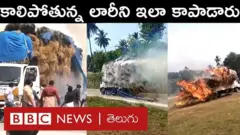 లారీ