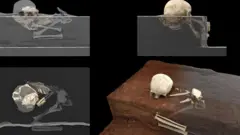 Reconstrucción virtual de los restos homínidos descubiertos en la cueva Panga ya Saidi y la reconstrucción de la posición original de los restos del menor como fue descubierto. (Derechos reservados de Jorge González/Elena Santos)