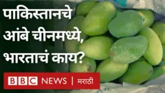 BBC