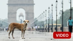 உலகின் ரேபிஸ் இறப்புகளில் 36% இந்தியாவில் நடப்பதாக உலக சுகாதார நிறுவனம் கூறுகிறது.