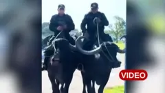 బ్రెజిల్, మిరాజో ద్వీపం