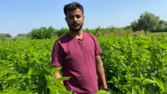 भाऊ निवदे