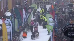 နော်ဝေးက ခွေးဆွဲ စွပ်ဖား ပြိုင်ပွဲ