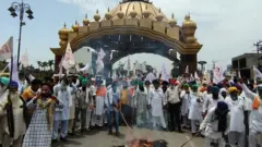 किसान आंदोलन, पंजाब