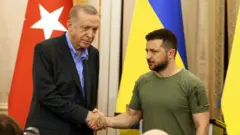 Ердоган та Зеленський