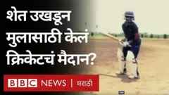 शेती, क्रिकेट
