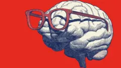 cerebro con gafas