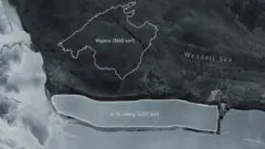 Weddell sea
