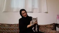 لماذا يتخلى الكثيرون في الإمارات عن قططهم؟