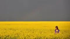 यूक्रेन