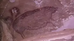 इससे पहले यूरोप में मिली रॉक आर्ट को सबसे पुराना माना जाता था.