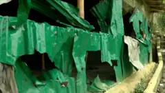 ক্ষতিগ্রস্ত