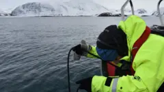 Cientista opera aparelho que capta acústica do oceano